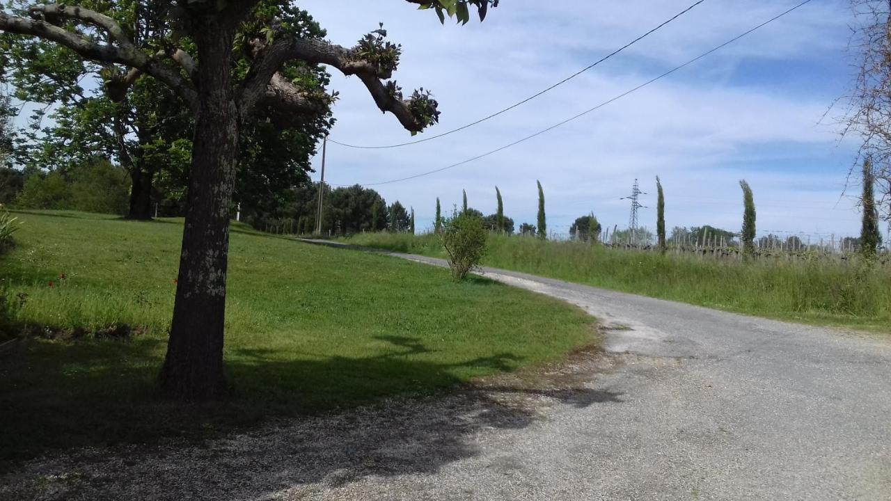 Gite Lieu Dit Gautier Civrac-de-Blaye Zewnętrze zdjęcie